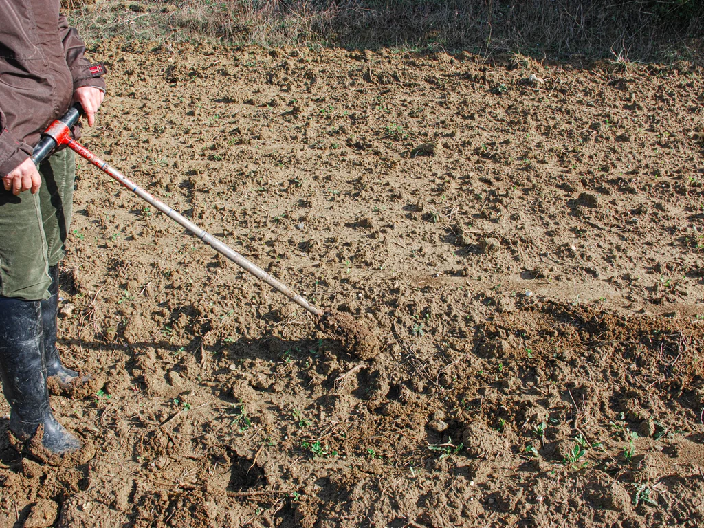 Pessoa com um objeto de manejo agricola em solo pré plantio 