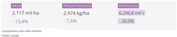 Projeções da Conab da área, produtividade e produção de trigo.