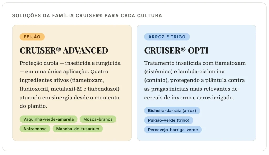 Infográfico comparando soluções da família Cruiser para tratamento de sementes em diferentes culturas, destacando Cruiser Advanced para feijão com proteção inseticida e fungicida, e Cruiser Opti para arroz e trigo com controle de pragas iniciais via ação sistêmica e de contato.