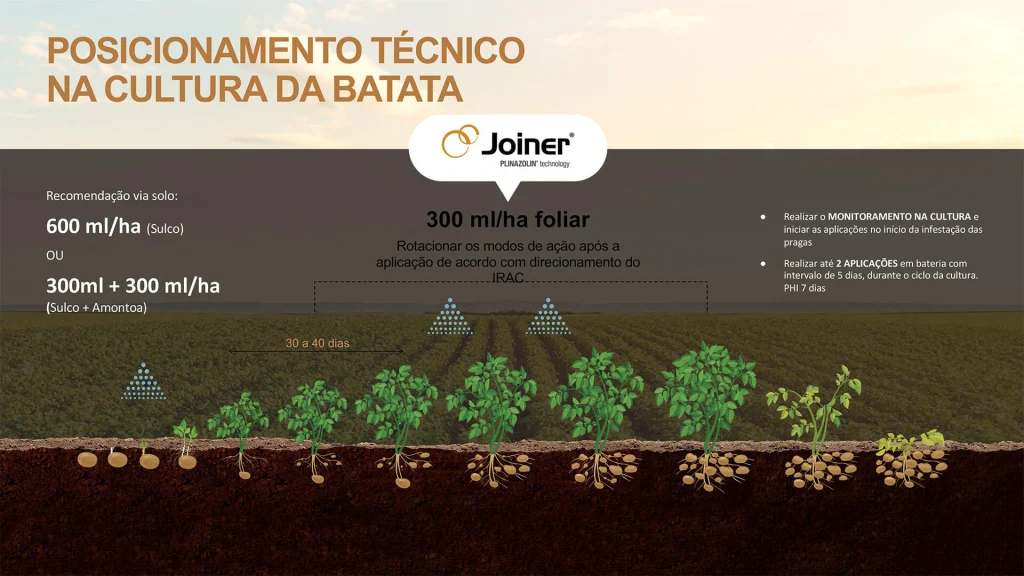 Posicionamento de JOINER na cultura da batata.