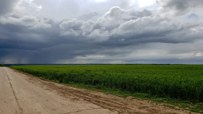 Campo agrícola com nuvens de chuva ao fundo