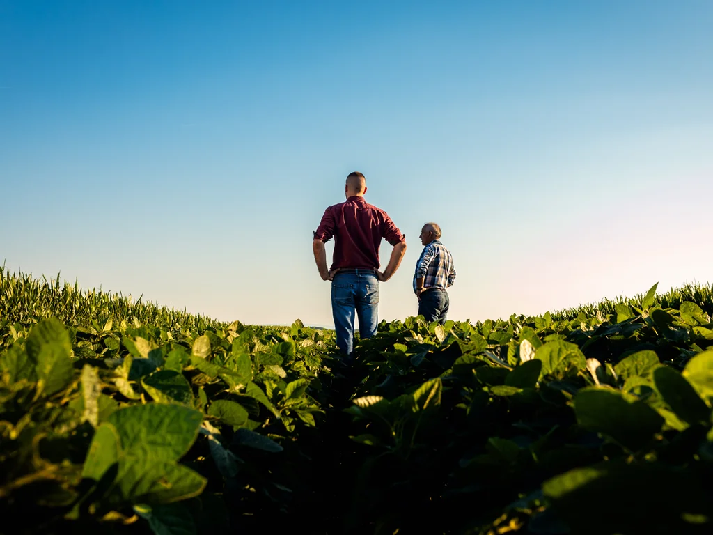 Duas pessoas de costas em um campo agrícola 