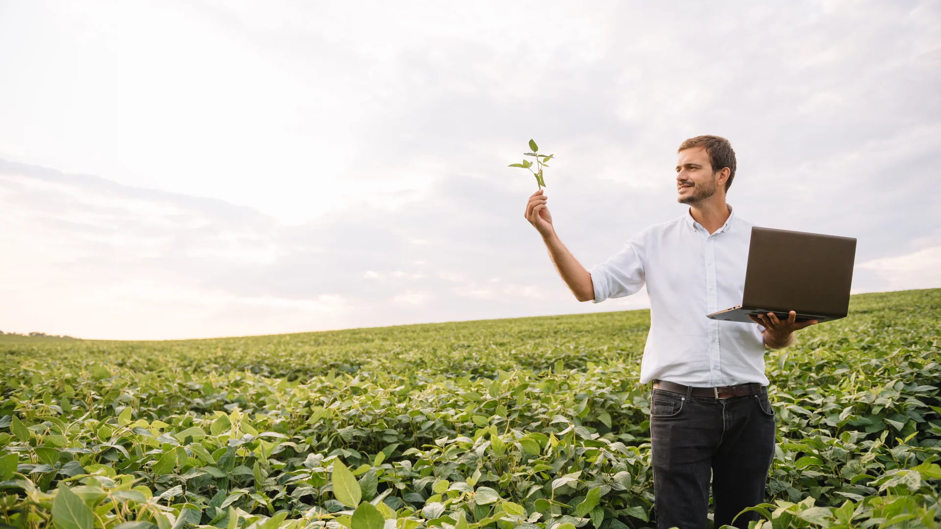 Pessoa segurando um tablet em um campo agrícola ao fundo
