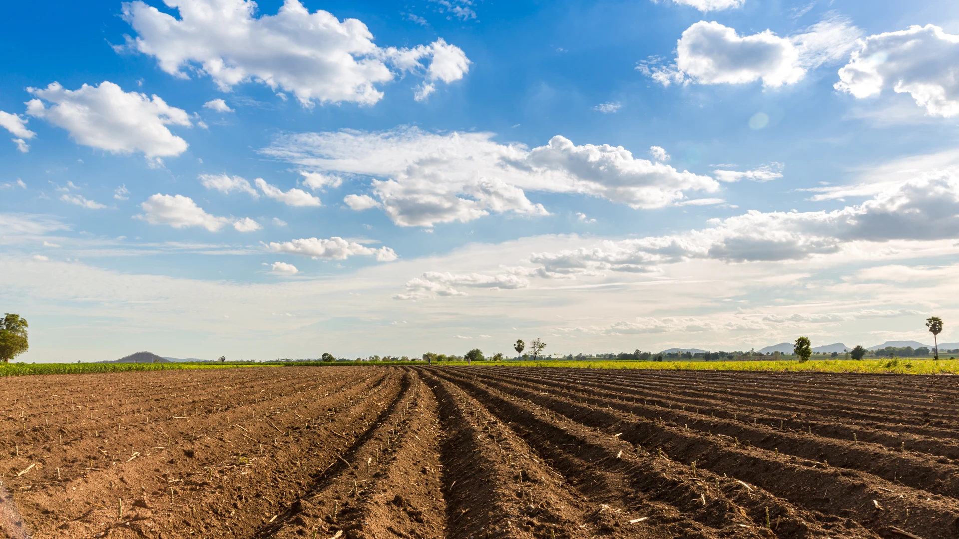 Campo aberto com céu aberto com nuvens