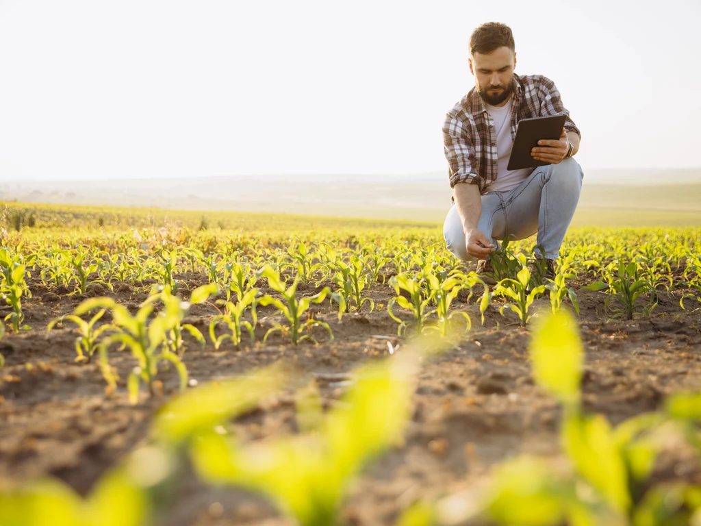 Agricultor com um tablet agachado analisando uma plantação