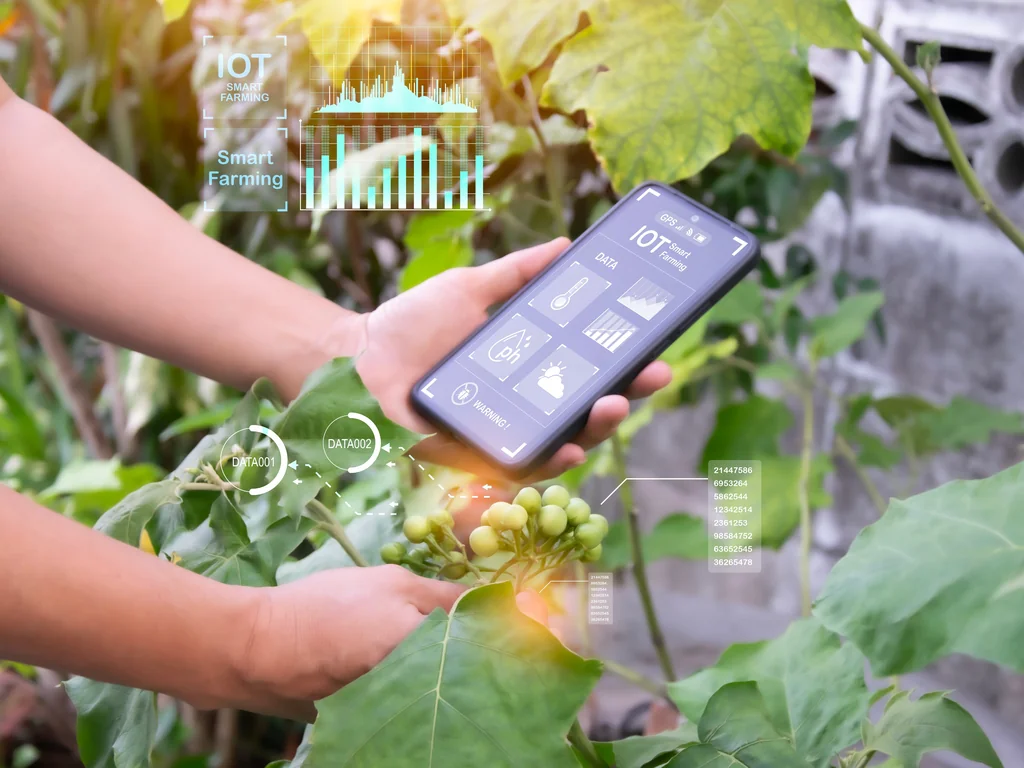 Close na mão de uma pessoa segurando um celular em um campo agrícola