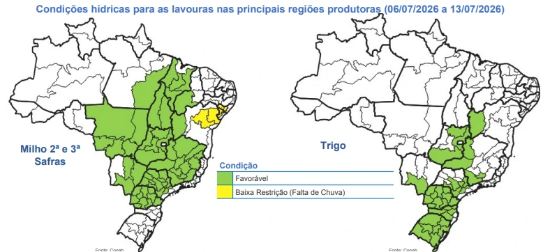 Infográfico da Conab indicando as condições hídricas para as lavoura de milho e trigo nas principais regiões produtoras.