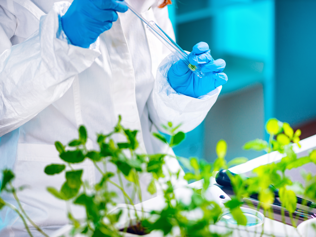 Pessoa com apetrechos de um laboratório fazendo analise da plantação 