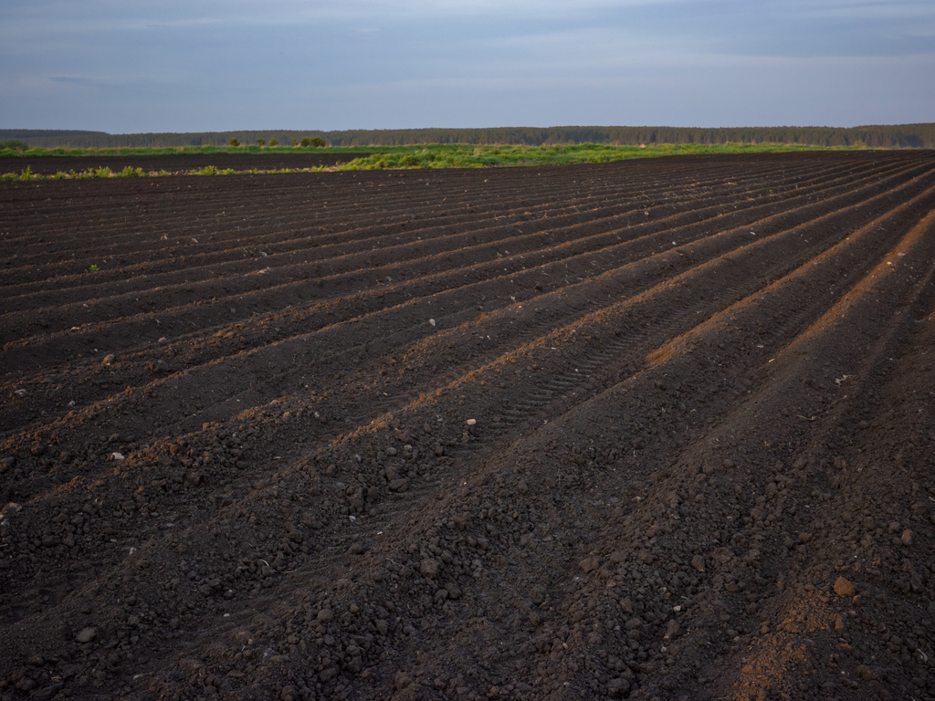 Solo agrícola com céu azul no fundo