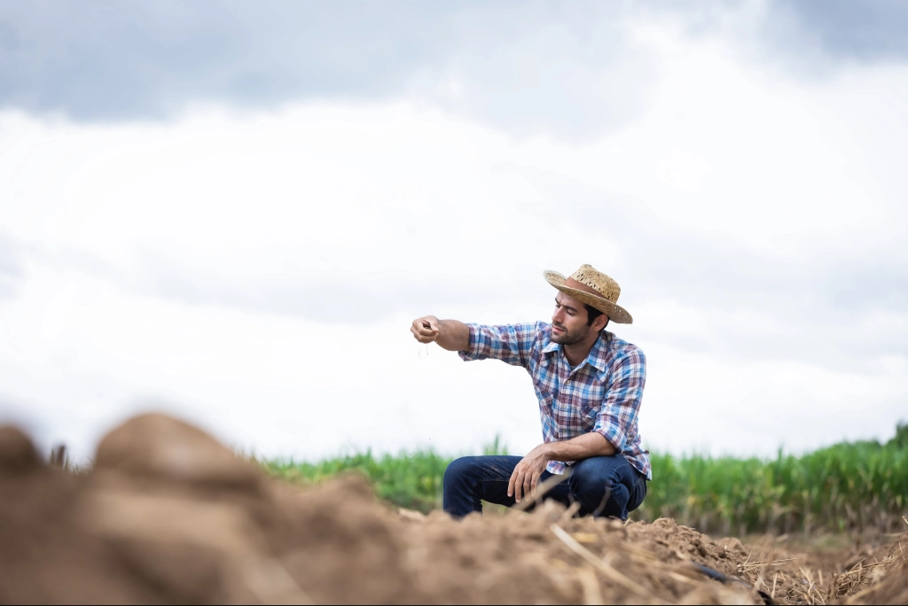 Produtor avaliando solo em meio ao canavial para o manejo de nematoides e doenças.