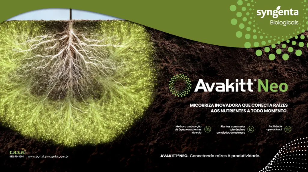 Banner do biológico à base de fungos micorrízicos AVAKITT Neo, da Syngenta. A imagem destaca as raízes de uma planta em relação de mutualismo com os fungos micorrízicos no solo e destaca os benefícios de AVAKITT Neo "Melhora absorção de água e nutrientes, plantas com maior tolerância a condições de estresse e facilidade operacional." e as assinaturas do produto "Micorriza inovadora que conecta raízes aos nutrientes a todo momento." e "AVAKITT Neo. Conectando raízes à produtividade."