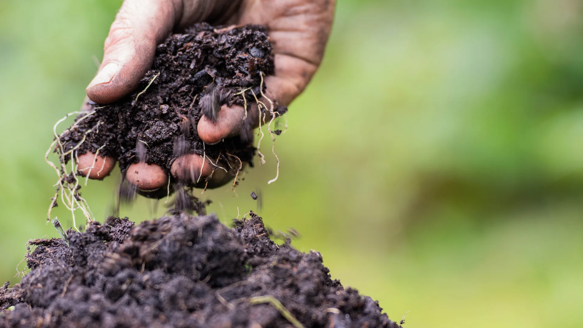 Pessoa com punhado de terra em mãos