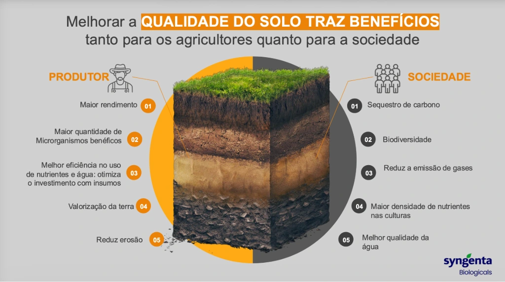 Infográfico listando os benefícios da qualidade do solo