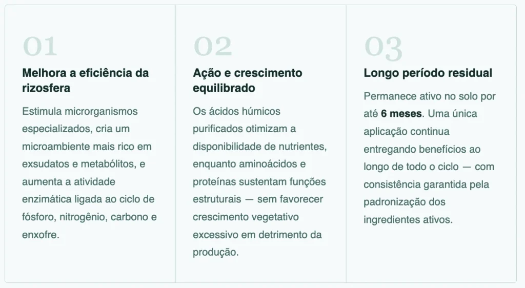 Infográfico destacando os benefícios do bioativador de solo VIVA.