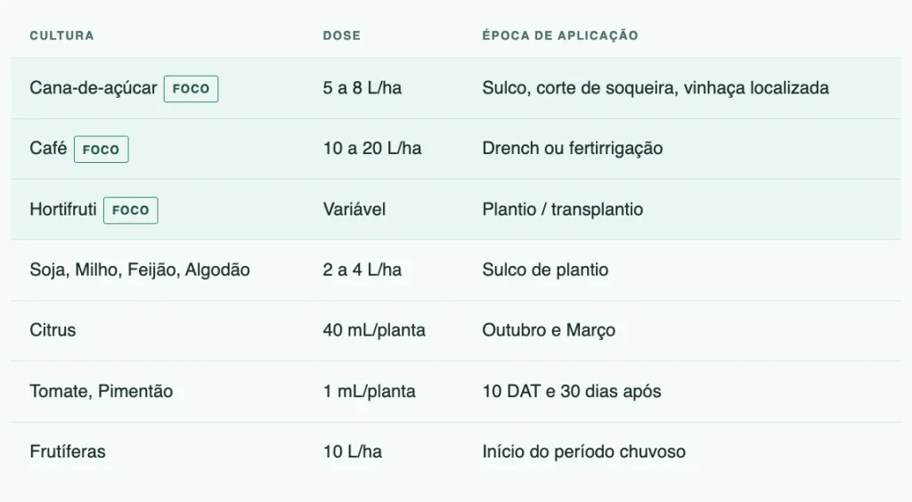 Como usar o bioativador de solo VIVA