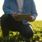 agricultor trabalhando com tablet digital, agricultor no campo com brotos verdes