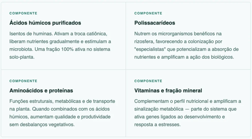 Componentes da formulação de VIVA