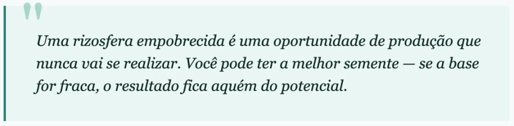 Frase destacando o desafio da rizosfera empobrecida