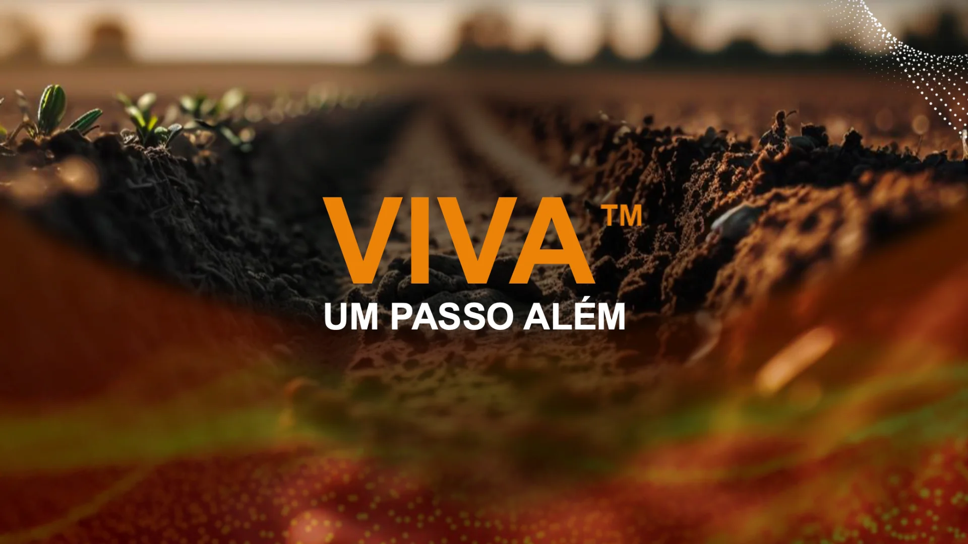 Bioativador de solo VIVA, um passo além