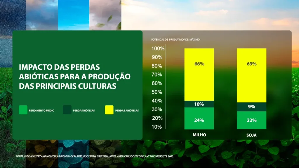 Infográfico destacando o impacto das perdas abióticas na produção do milho e da soja.