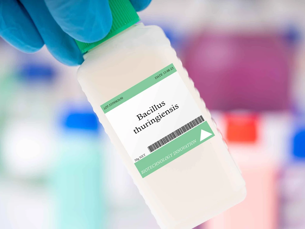 Frasco de laboratório rotulado 'Bacillus thuringiensis', segurado por mão com luva azul em ambiente de biotecnologia."