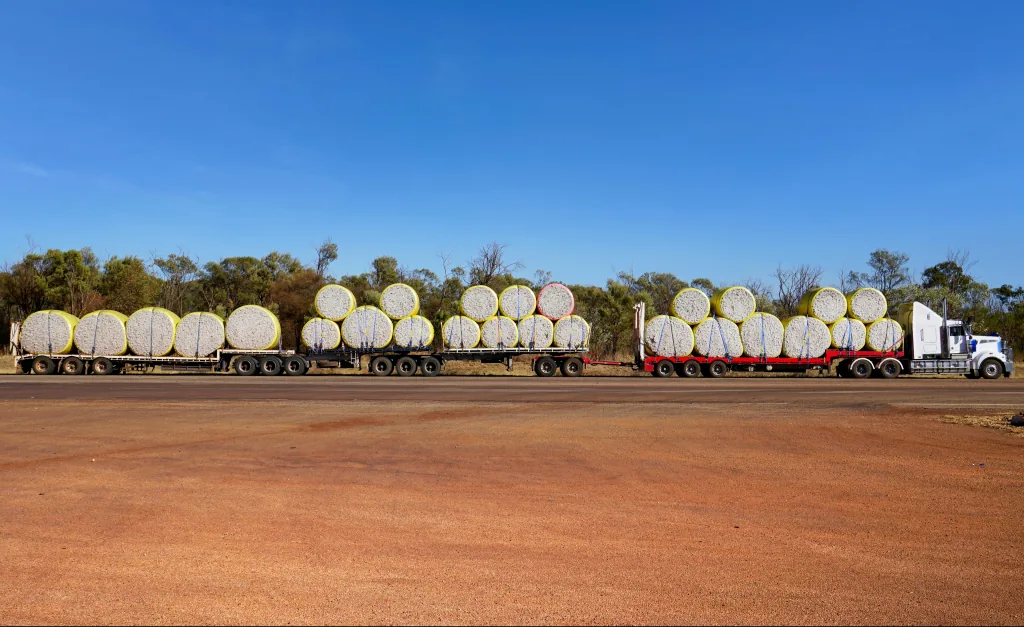 Caminhão transportando fardos cilíndricos de algodão para exportação