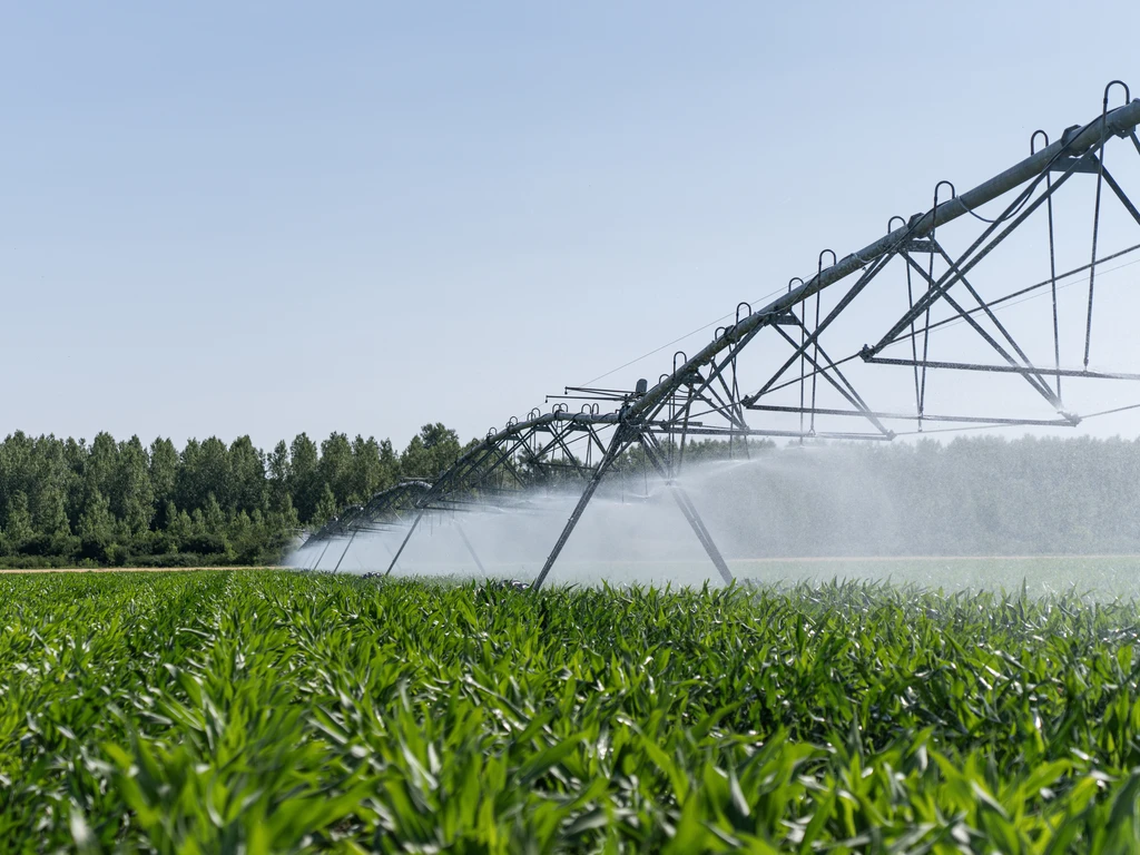 Pivô central de irrigação em funcionamento sobre plantação, com jatos de água visíveis contra o céu.