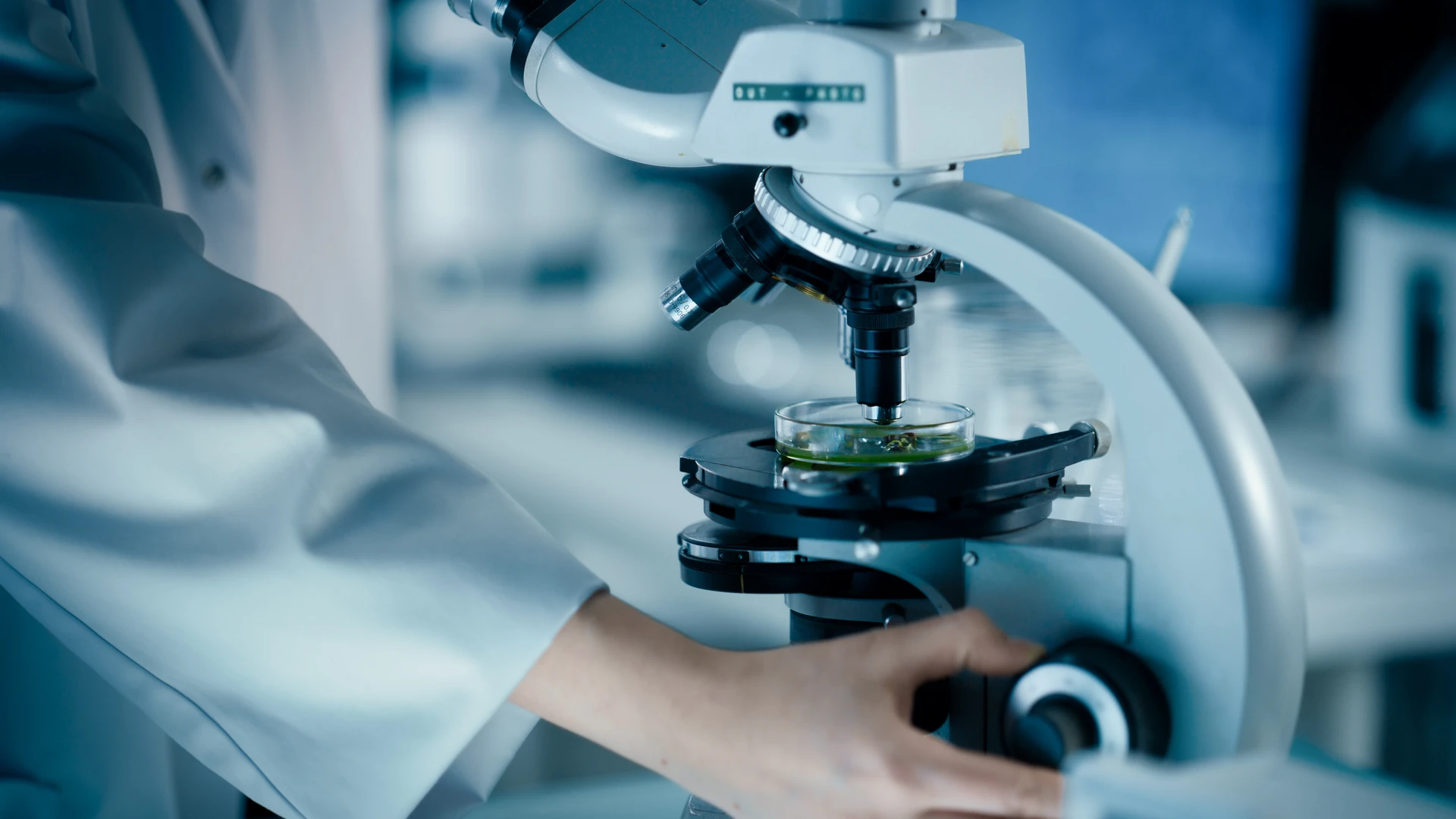 Cientista em laboratório manuseando microscópio, com amostra verde em placa de Petri sob a lente.