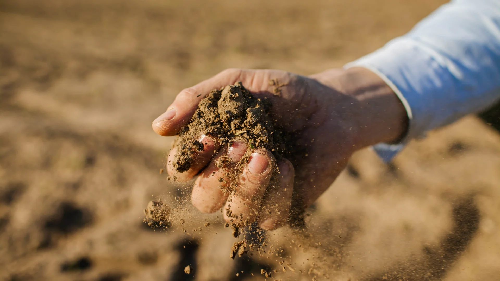 Mão deixando cair terra seca sobre um campo preparado para o plantio.