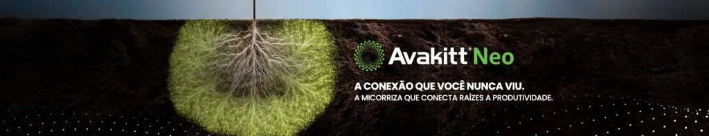 Banner publicitário horizontal com fundo escuro simulando o solo em corte transversal, destacando à esquerda uma rede de raízes subterrâneas verde-brilhante e luminosa que se espalha pela terra. Ao centro-direita, exibe o logotipo verde e branco com o nome "Avakitt® Neo" acompanhado pelos textos: "A CONEXÃO QUE VOCÊ NUNCA VIU." e "A MICORRIZA QUE CONECTA RAÍZES A PRODUTIVIDADE.".