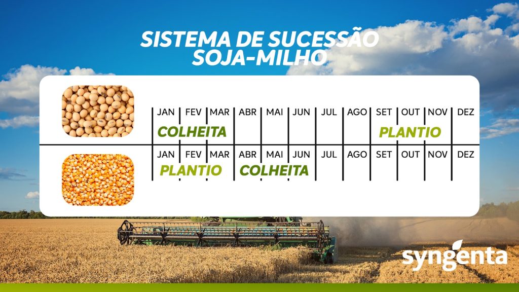 Calendário do sistema de sucessão soja-milho