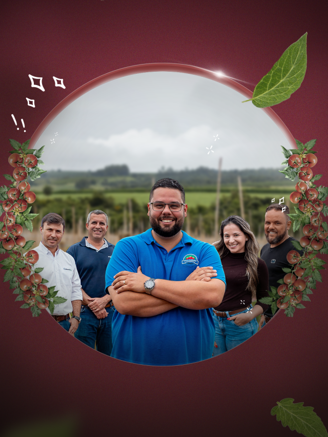 Veja os bastidores da produção de tomate!