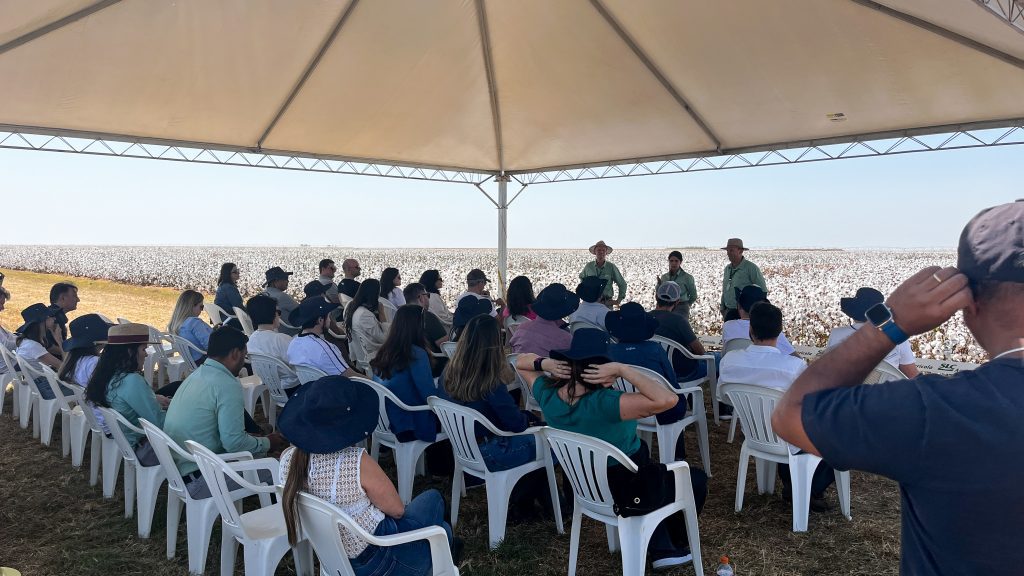 grupo reunido sob uma tenda, no meio de uma lavoura de algodão