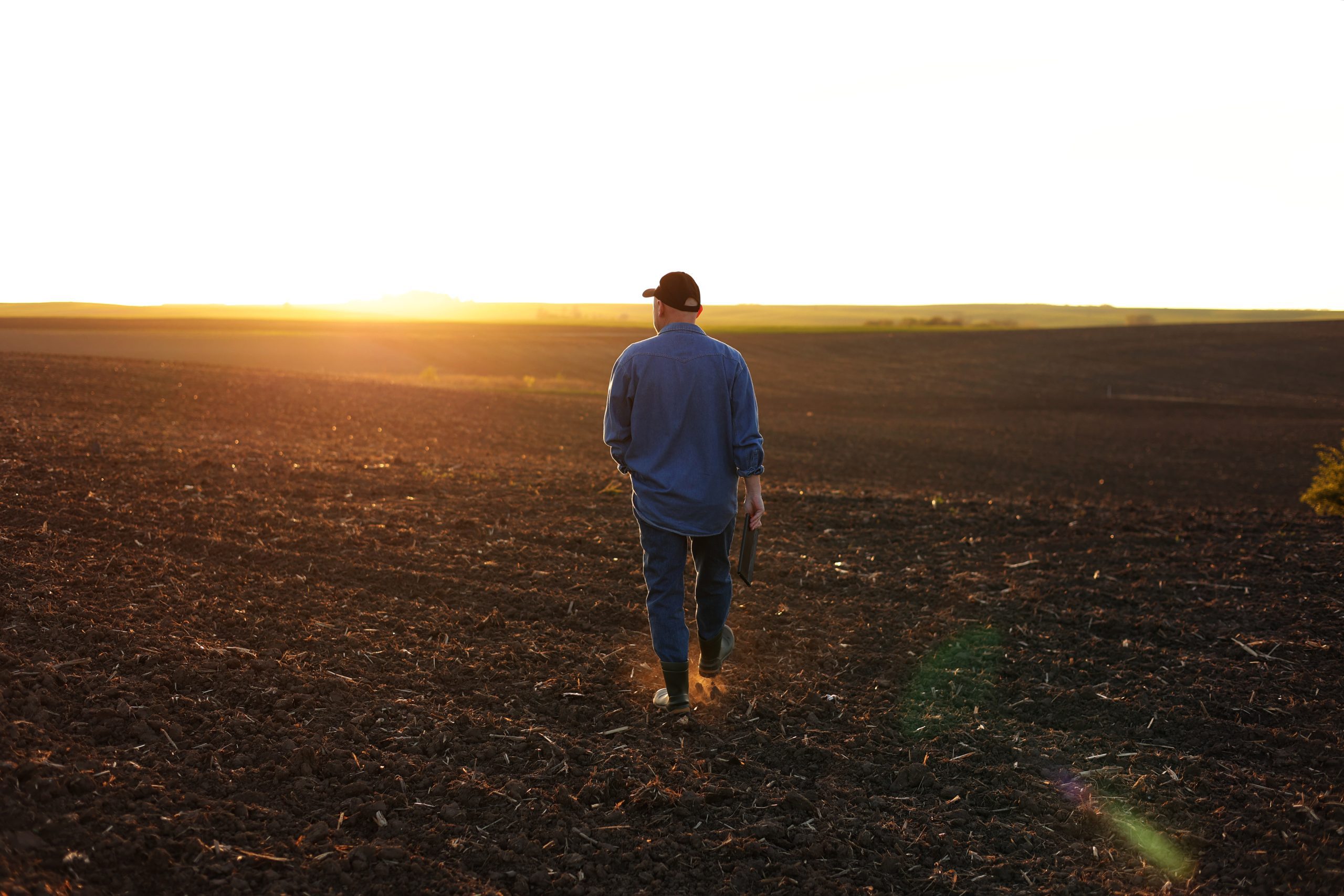 homem vendo campo