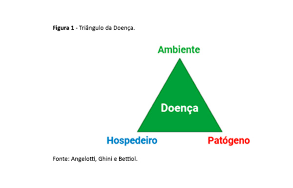 imagem sobre o triangulo da doença