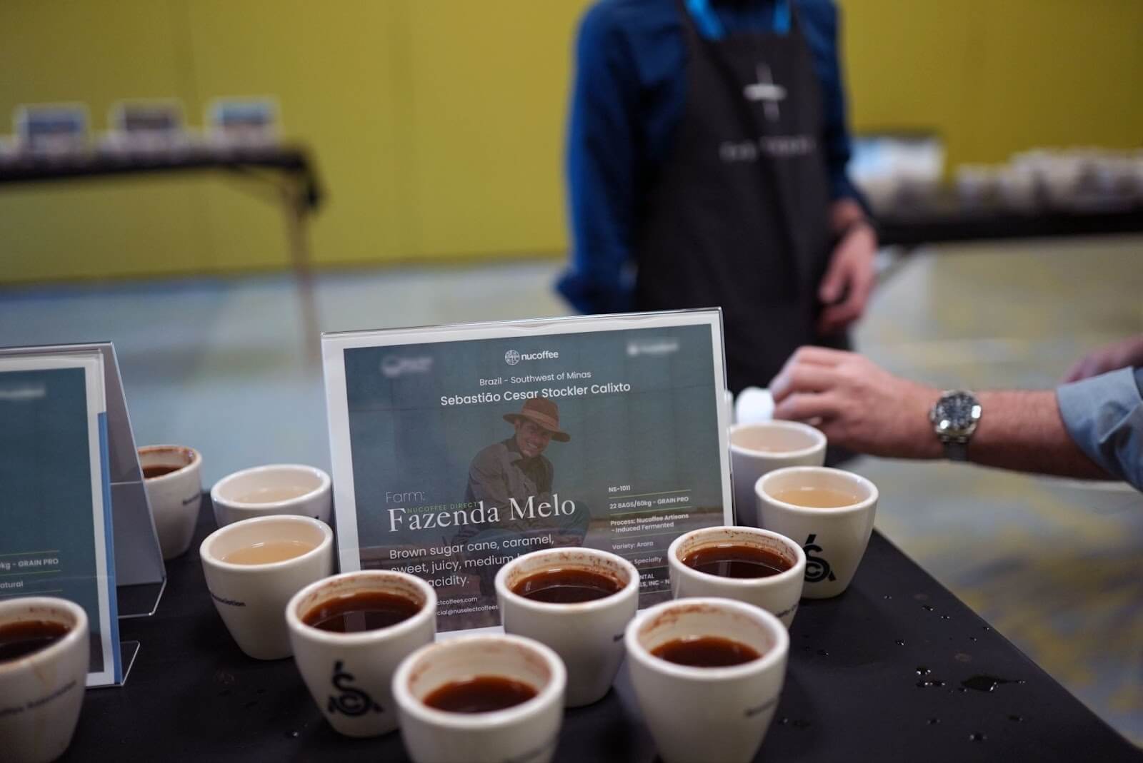 Prova de cupping de café no Sul de Minas Gerais 