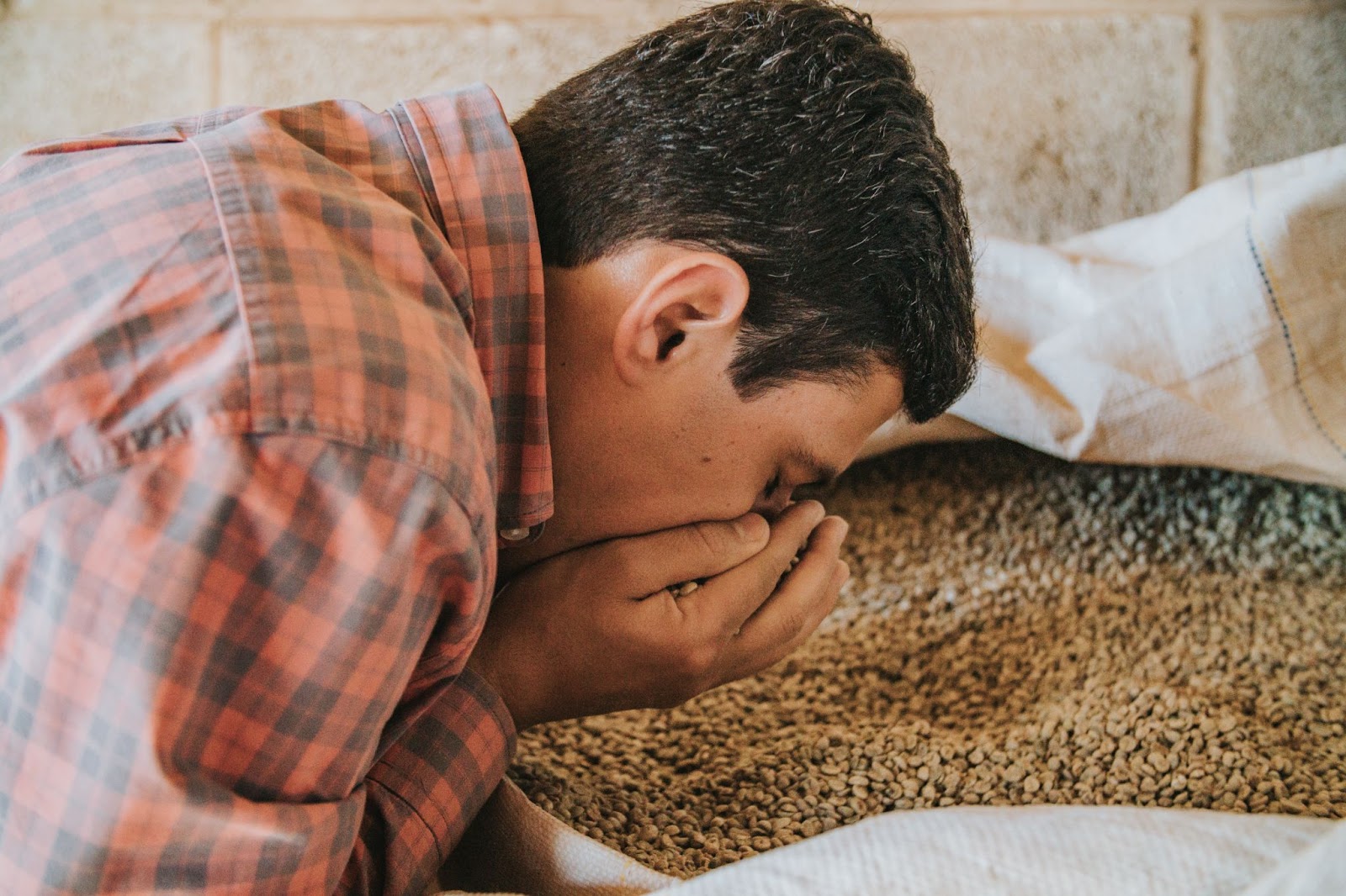 Produção de café no Sul de Minas Gerais. 